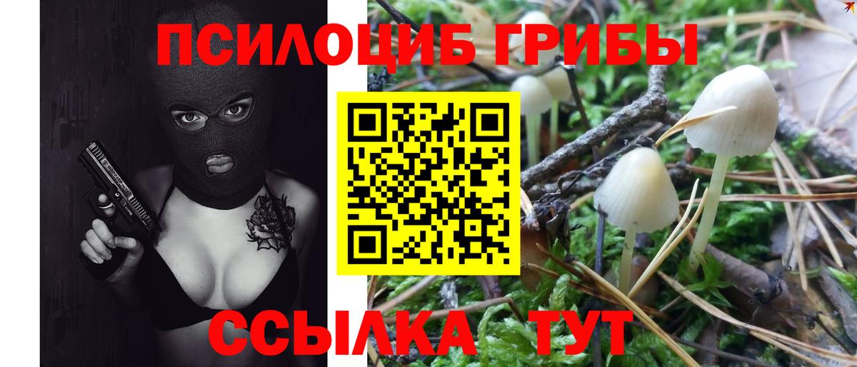 Галлюциногенные грибы Psilocybine cubensis  Вход с VPN  купить  цена  Вязники 